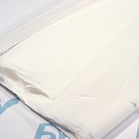 Papel absorvente